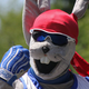 Illustration for article titled These Failures Are the Worst Sports Mascots Ever Designed